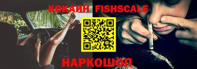 гашик Кимры