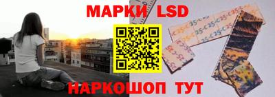 скорость Кингисепп