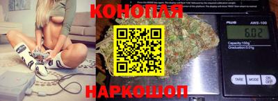 скорость Кингисепп