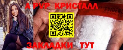скорость Кингисепп